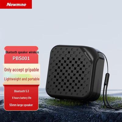Портативная Bluetooth-колонка Newmine PBS001 с китайской вилкой (адаптер в комплекте)