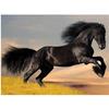 Полный 5D Diy Алмазная картина Черная лошадь Вышивка Крестом Домашний декор Ручной подарок Подарок