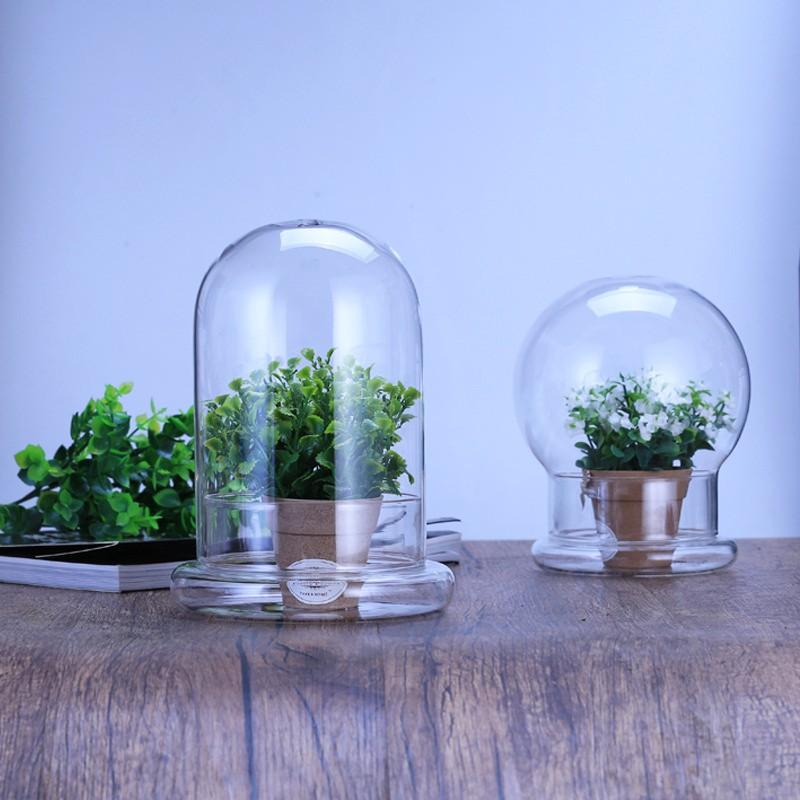 Clear Glass Dome with Airhole Glass Cloche Bell Jar with Base Home Tabletop Display Plant Flower Terrarium Container Home Decor