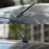 Car Carbon Fiber Antenna Radio Enhanced Signal Accessory For Citroen C4 C3 C5 C1 C2 VTS Berlingo Celysee Xsara Picasso Aircross