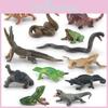 Детальный набор моделей из ПВХ: Лягушка, Черепаха, Ящерица, Змея, Хамелеон Для Любителей Природы И Коллекционеров