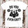 230 Gsm 100% Cotton Do You Even Crit Gym Master Ancient Swole D Dragon Dnd D20 Dice Best Seller T Shirt Music Retro Top Tee Gift Unisex 8515