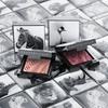 Chantecaille Светящиеся тени для век, одиночные, с шиммером, жемчужные, Зебра