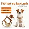 Регулируемый жилет для собак с защитой от побега и поводок с головой медведя для маленьких/средних собак