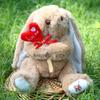 Plush Hug Flower Bunny Toy With Pp Cotton Filling For Easter Gift Girls And Kids
