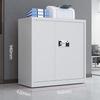 Tian Yuan Jie Cheng RL-801 Security Cabinet CN plug (adapter included)