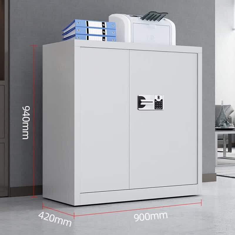 Tian Yuan Jie Cheng RL-801 Security Cabinet CN plug (adapter included)