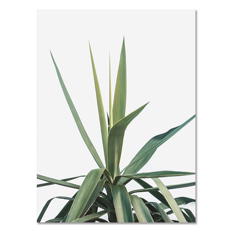 Абстрактное зеленое растение, природа, холст, живопись, скандинавское настенное искусство, листья, постеры, принты, цитаты, картинки для гостиной, домашний декор