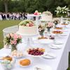 3PCS Pedestal Base Cake Stands Graduated Sizes Dessert Stand Cake Display Stand  Dessert Tables
