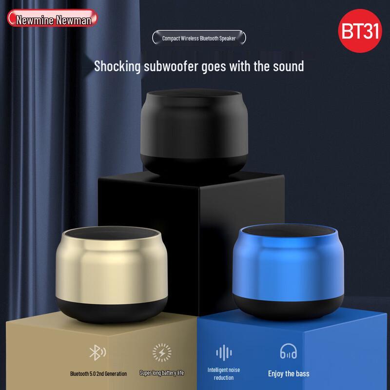 Newmine BT31 Portable Bluetooth Speaker with Subwoofer
