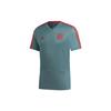 Fc Bayern Football Training Short Sleeve T-Shirt Men Tops Deep-Peacock-Green CW7263