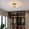 Luster Nordic LED Ceiling Lamp Home Foyer Aisle Corridor Cloakroom Light Спальня Балкон Украшения Потолочный светильник Внутреннее освещение