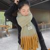 Women's Double-Sided Cashmere-Feel Winter Scarf: High-End, Warm, Tassel Shawl in Versatile Korean Style
