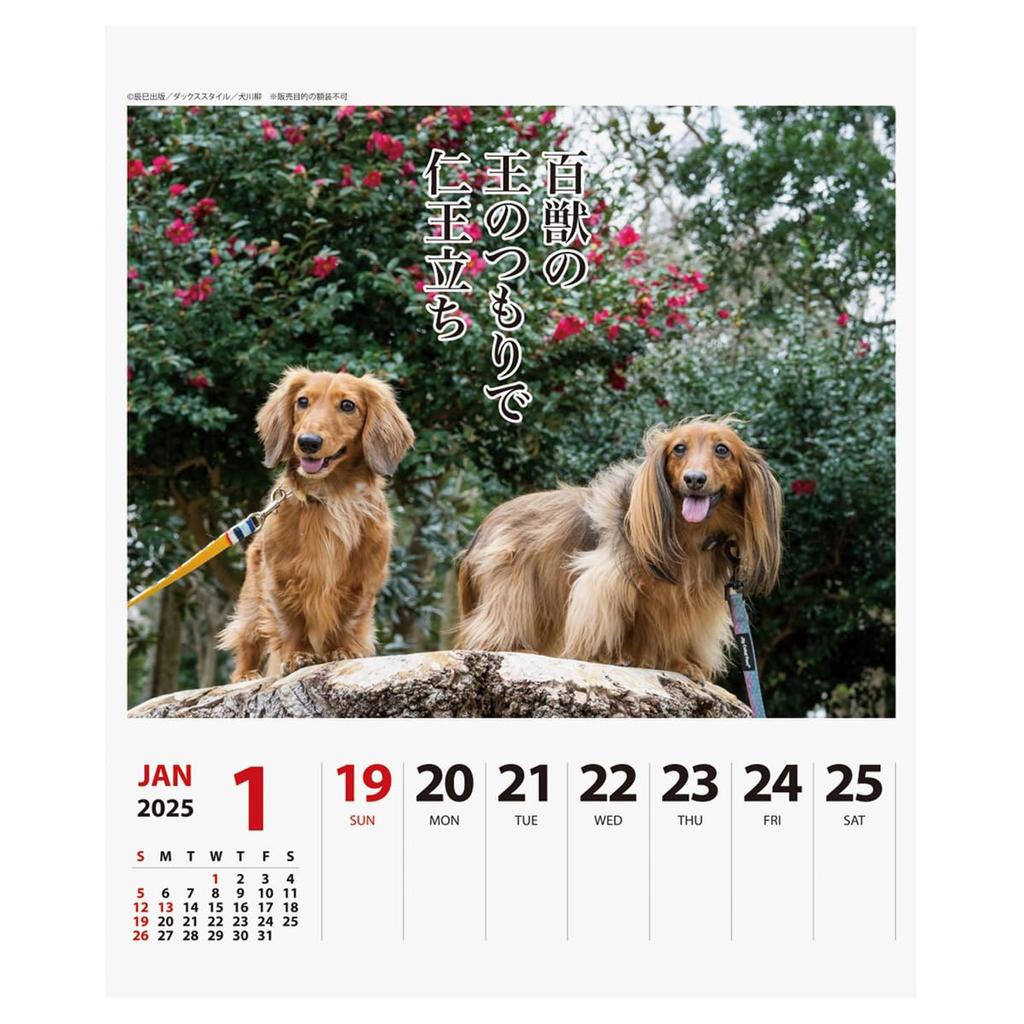 2025 Утки Сэнрю (Еженедельно) Календарь №024