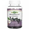 Natures Way- Sambucus Gummies, стандартизированный вкус бузины, 60 жевательных конфет