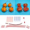 Children DIY Homemade Fruit Battery Power Educational Electricity Generating Experiment