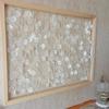 2026 round Capiz Shells Natural White with Holes for Wind Chimes Jewelry Making Home Decor Latest Models