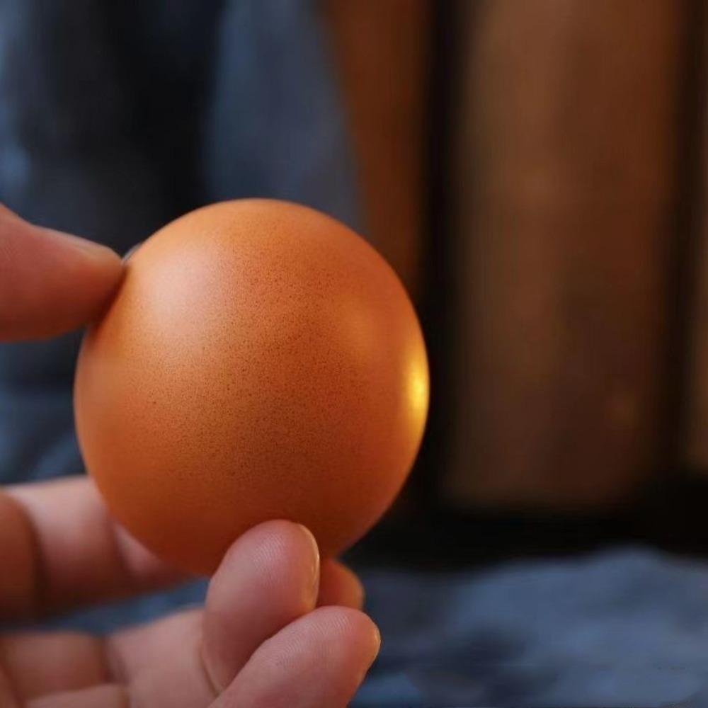 Shibako Dog Egg Dog Egg Toy Shiba Inu Desk Decor Fun Squishy Fidget Toy Gift