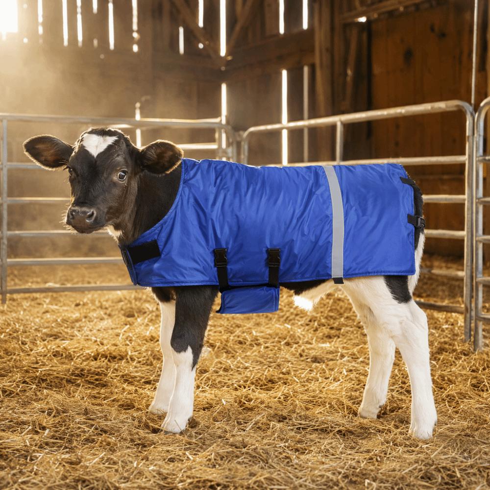 Oxford Fabric Calf Warm Coat Double-Breasted Buckles Calf Clothing Calf Warm Clothes  Livestock