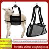 Adjustable Calf & Small Livestock Weighing Sling with Mesh Belt