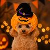 Cozy Pet Halloween Hat Pumpkin Cat Headgear Gift Dogs Hat Decoration