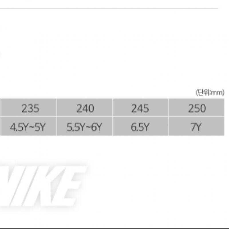 Nike Гибкий бегунок 3 Fn1294 005