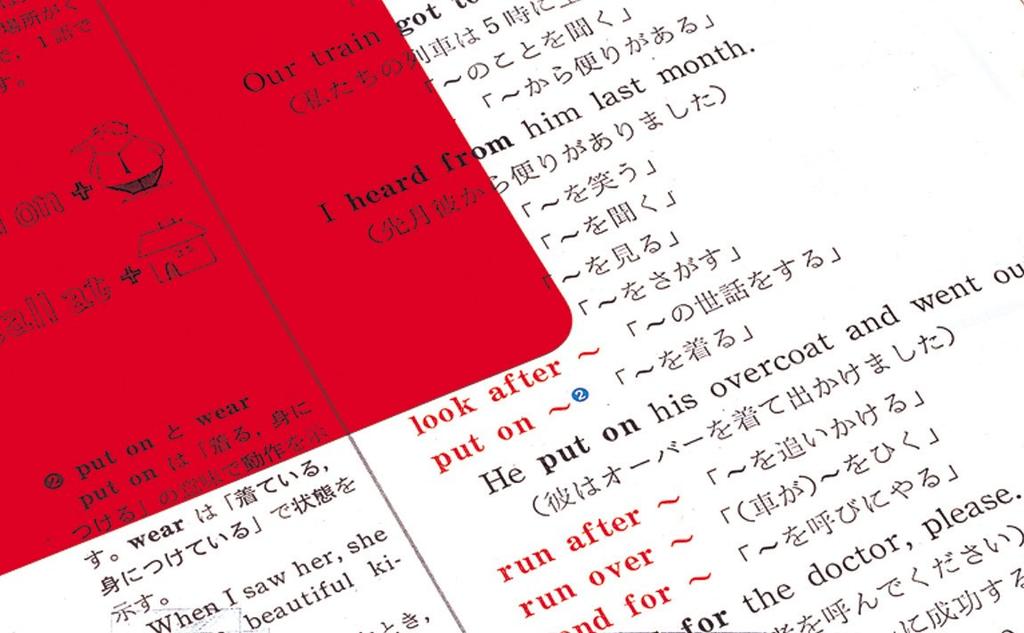 Zebra Memorization Check Alpha Set 10 Pieces Blue/Red B-P-SE-WYT20-BLR