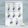 4Pcs 4-Week Chair Exercise Chart for Seniors Full Body Seated Stretching