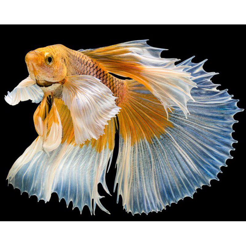 Алмазная картина Любовь Рыба 5d Бриллианты Вышивка Мультфильм Алмазная Мозаика Вышивка Крестом