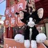 Simulated Black and White German Cat Doll Cute Curly Cat Doll Kitten Plush Toy Doll Gift