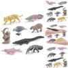 Crocodile Dolphin South American Animal Model Set Plastic Decor For Nature Enthusiasts