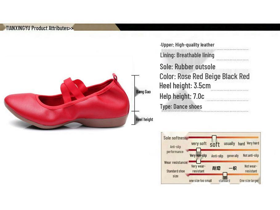 2023 Межграничные туфли для практики балета и танцев на площади с мягкой подошвой, плоский каблук, взрослые