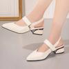 Shoes for Women Fashion One-word Buckle Women's Pumps Autumn Pointed Toe Ankle-wrap Chunky Heels Work Ladies High Heels