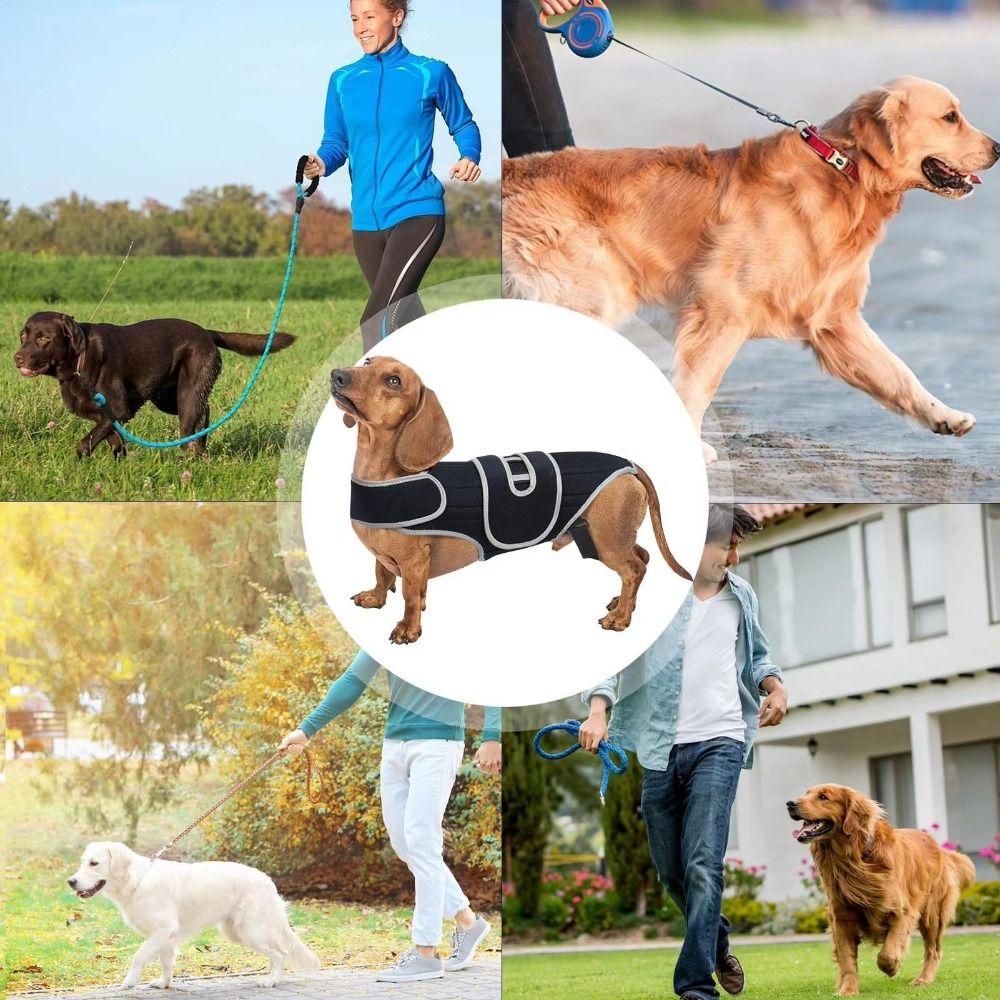 Breathable Dog Back Brace Adjustable Dog Support Harness Pet Spinal Brace Vest  Travel Use