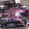 HG Infinite Justice Gundam Type II