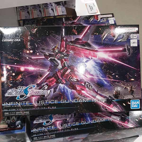 HG Infinite Justice Gundam Type II