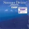 12-дюймовая виниловая пластинка TUBE Summer Dream Special Remixed Seasi 12AH2205 CBS SONY 1987 Япония Японский Поп-Рок Б/у
