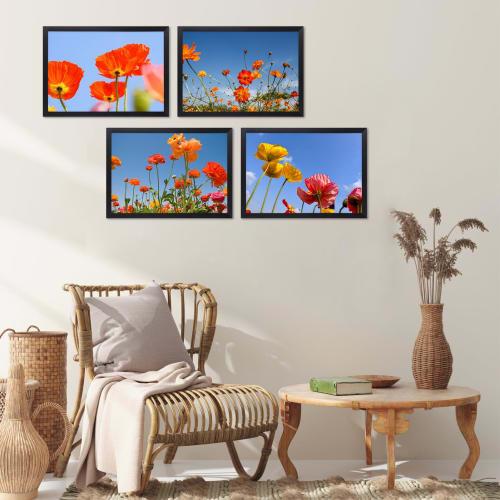 Serwrsw Lightweight A4 Certificate Frame, Photo Frame, Poster Frame, 29.7x21cm, for Certificates, Photos, and Posters, Black