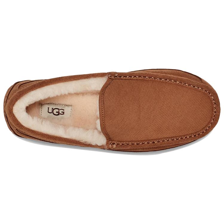 UGG Ascot Удобные Низкие Повседневные Туфли Мужские 1112437-CHE
