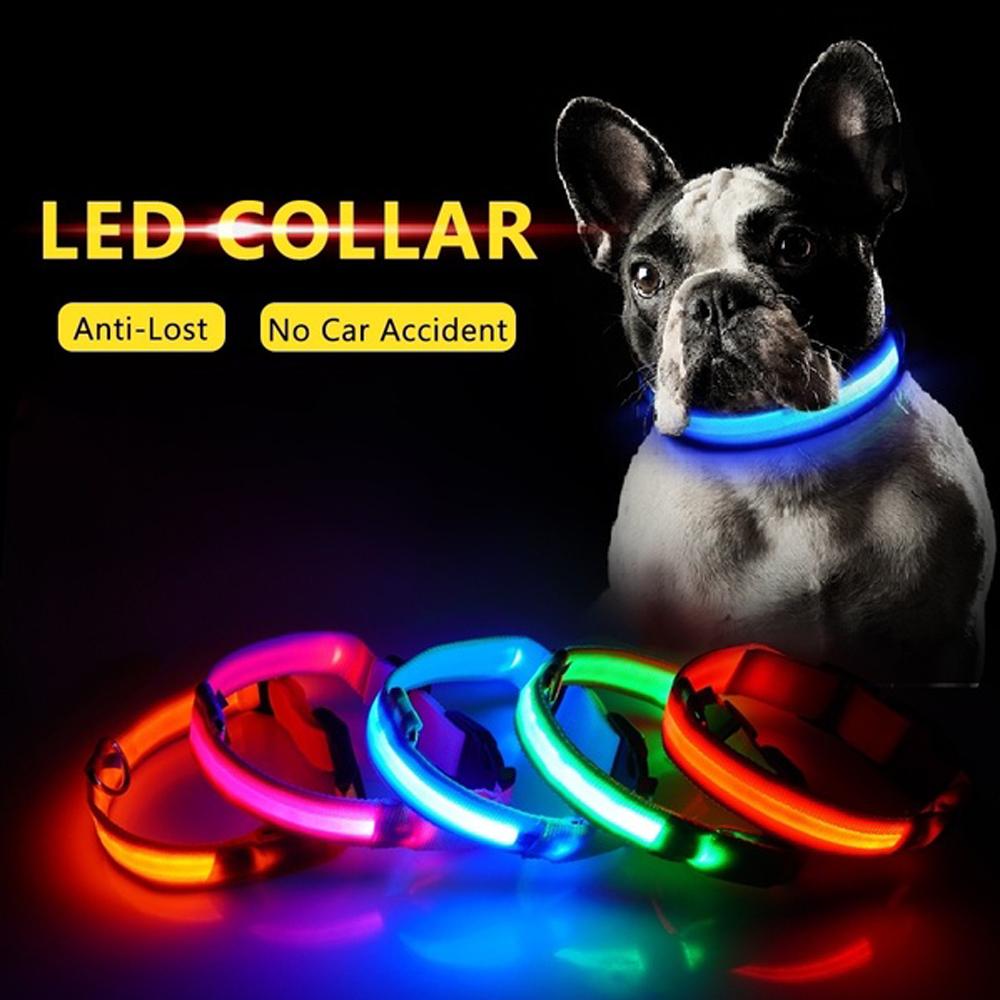 LED Lighted Dog Collar, Glow in the Dark Nylon Pet Collar, Rechargeable Safety Collar for Dogs, Visible Night Walk, Purple, Medium/Large