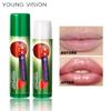 YOUNG VISION Lip Balm Moisturising Nourishing Hydration Anti-dry Cracking Peeling Fruit Flavour Cross-border Lip Balm Stock
