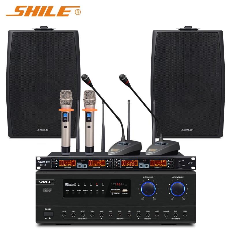 Shile Professional Conference Audio System