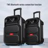 Портативная Bluetooth-колонка Aigo S56 12 дюймов на колесиках с микрофоном, штепсель CN (адаптер в комплекте)