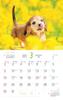 Календарь 2025 Пушистая Собака (Ежемесячно/Настенная) (Календарь Impress 2025)
