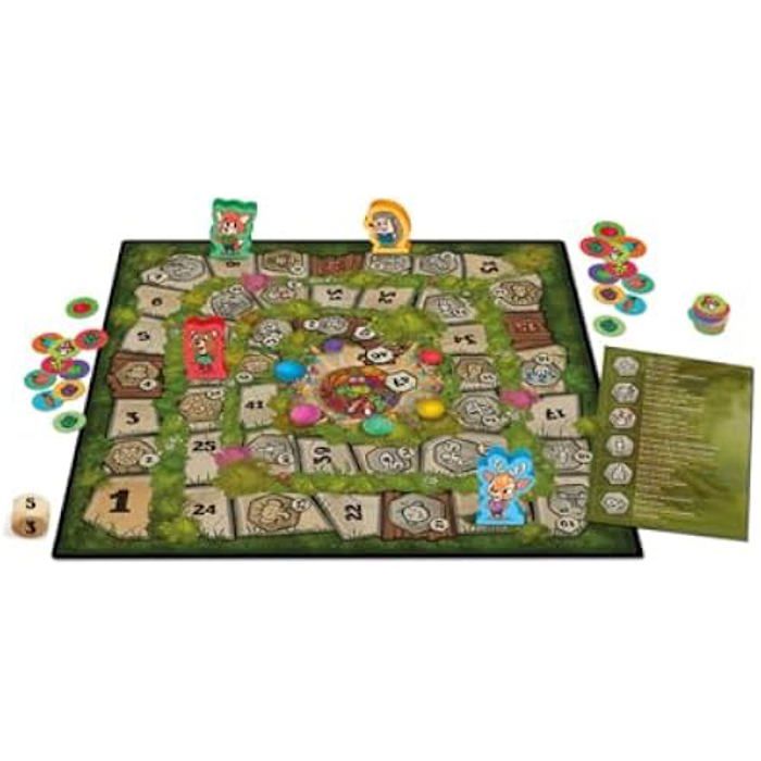 Jeu de Société - CAYRO - Funny Forest - 2-4 Joueurs - Collecte de Nourriture - Amusement