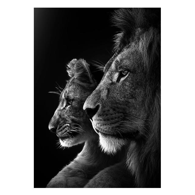 Animals Black And White Lions Love Family Prints Poster Canvas Painting Modern Wall Art Pictures Living Room Bedroom Home Decor