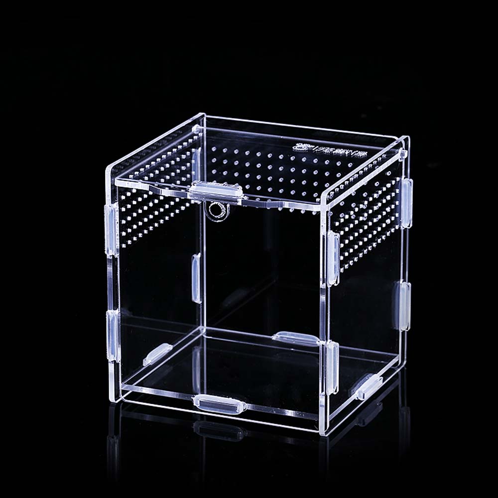 Hatcher Lizard Container Insect Breeding Box Hatching Terrariums Reptile Incubator Insect Supplies