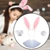 Bunny Ears Headband Tail Set Costume Accessories for Animal Themed Parties