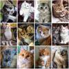 DIY 5D алмазная живопись милый кот набор для вышивки крестиком Алмазная вышивка животные стразы картины настенный художественный подарок домашний декор