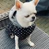 Зимняя теплая одежда для собак, толстое пальто для собак, жилет в горошек для щенков, куртка, водонепроницаемая одежда для собак, толстовки с капюшоном для чихуахуа, французского бульдога, наряд